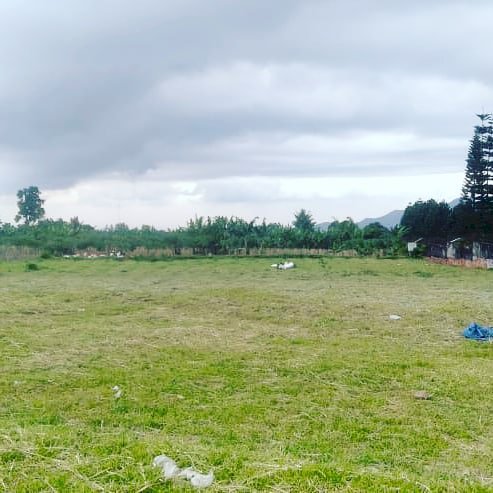 Alesta proferty tanah kavling puncak