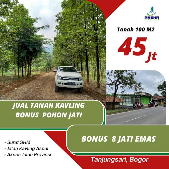 TANAH PINGGIR JALAN GRATIS POHON JATI BEBAS BIAYA PERAWATAN