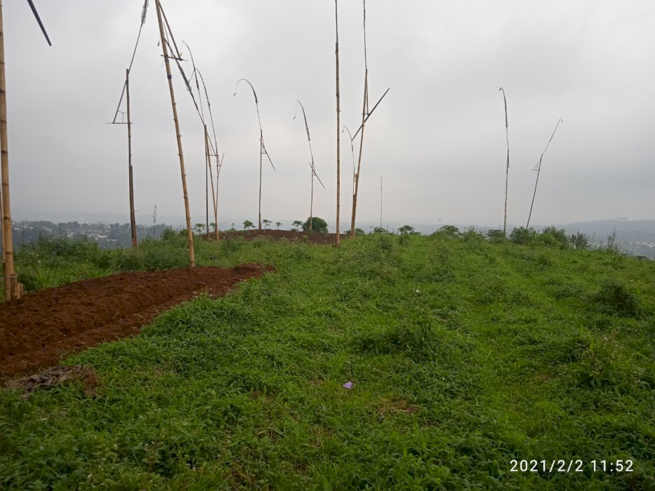 Tanah kavling murah Sukagalih