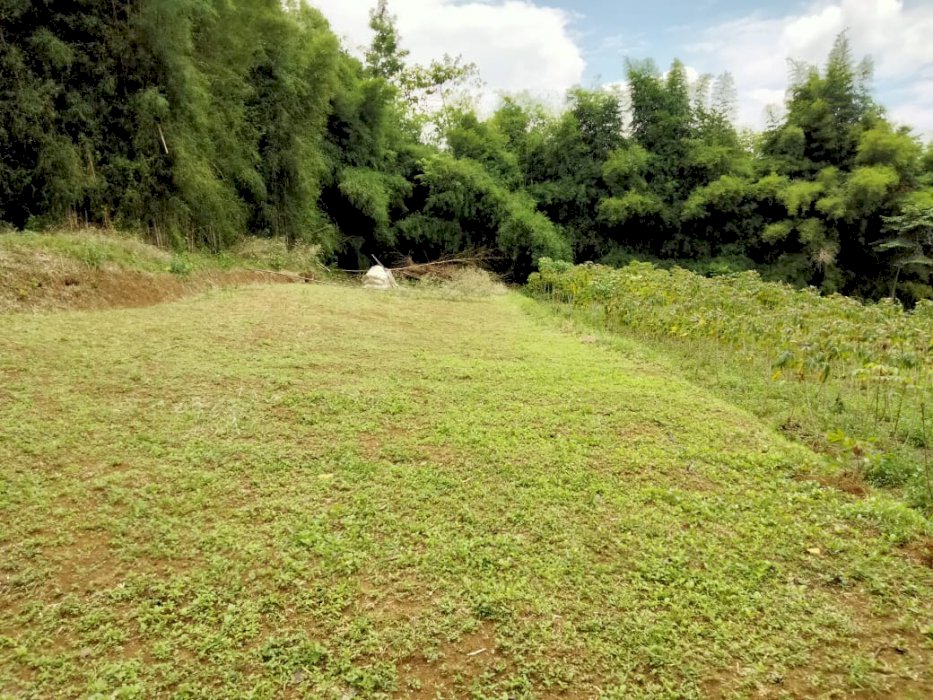 Tnh luas 1.3 ha.stts shp.akss jln.dkt sumarecon.view best view