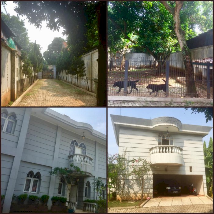 Rumah Luas + Kolam Renang Jl. Radar Auri