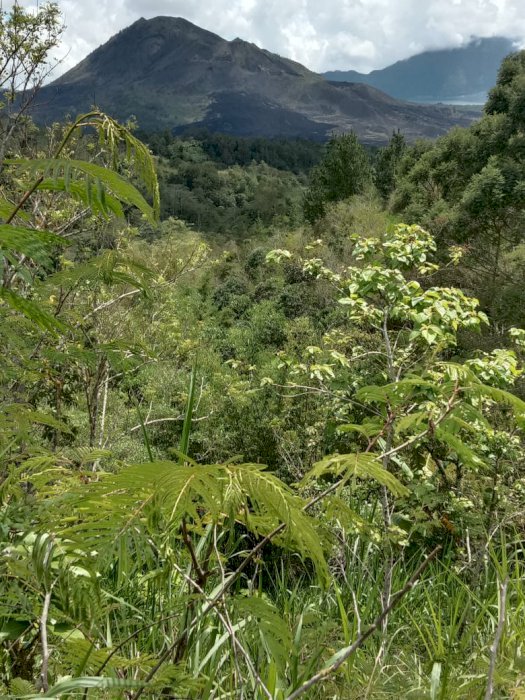 Tanah murah di kintamani view gunung agung dan gunung batur
