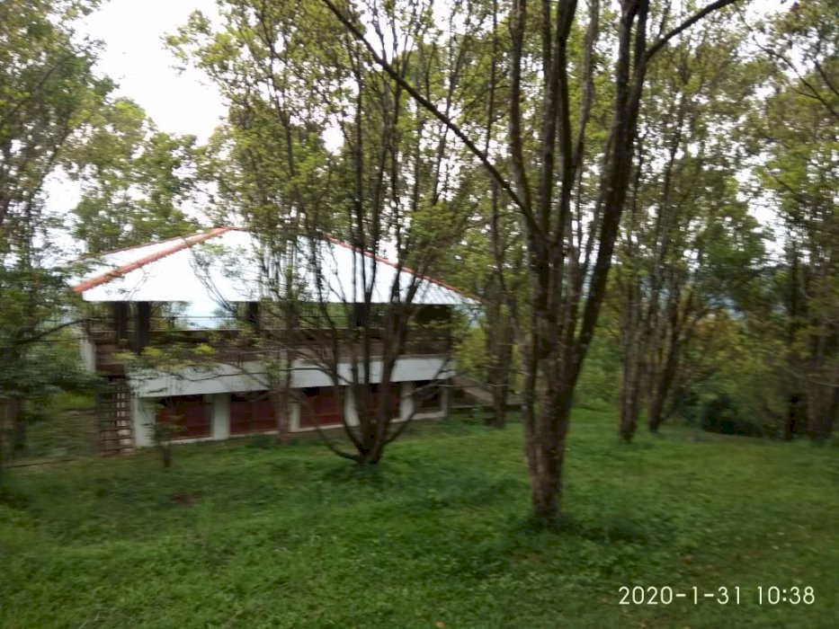 Edisi BU Turun Harga  Di jual Cepat tanah kebun