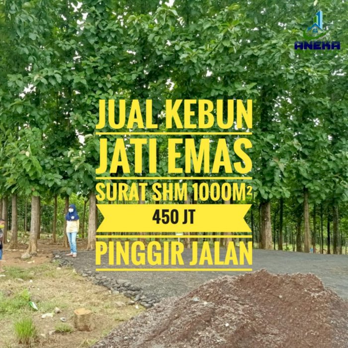 KAVLING JATI INDAH TRANSYOGI DIJUAL MURAH NEMPEL JALAN TRANSYOGI