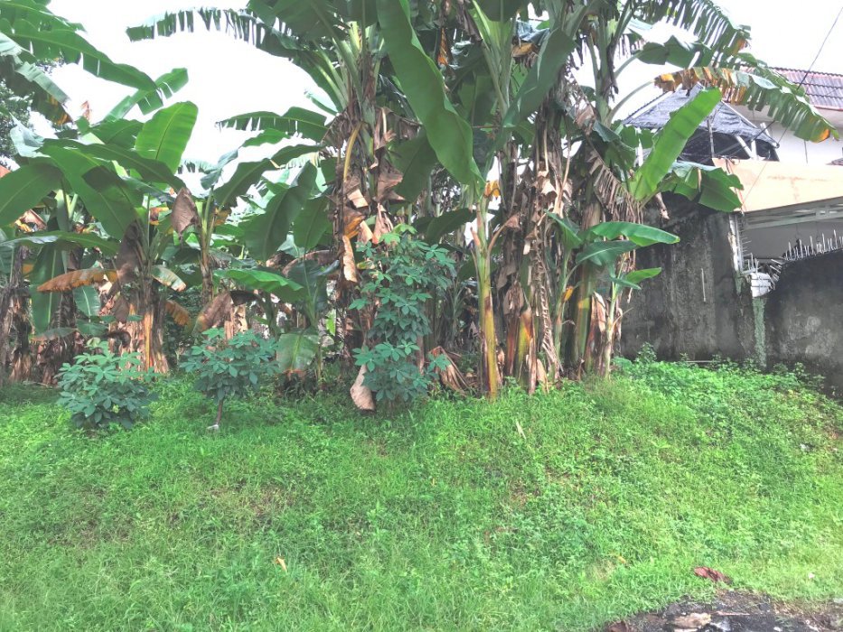Tanah 500 m2 (20x25) Depan Lapangan Tenis di Jl Nias Megapolitan Cinere