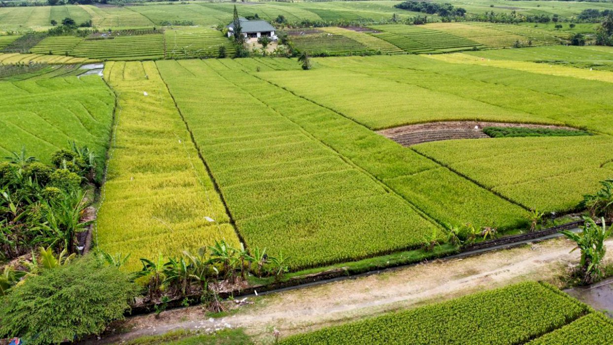 Dijual tanah murah view pantai dekat pantai pasut Tabanan