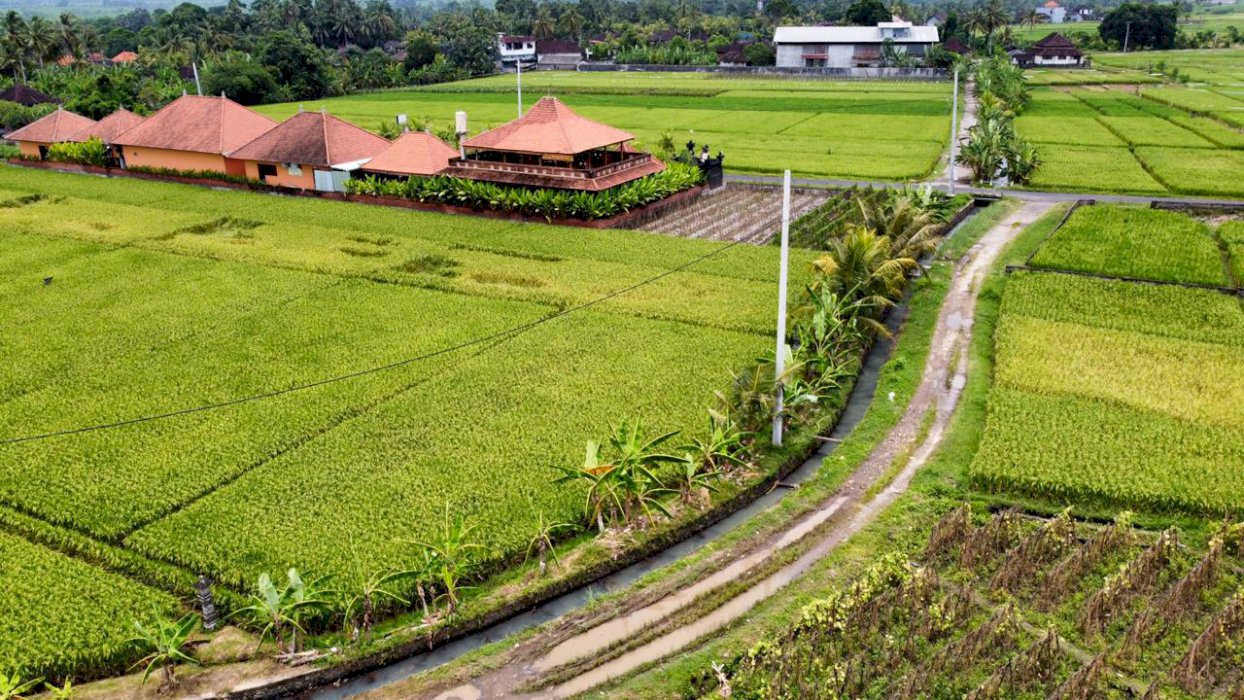 Dijual tanah sangat murah lokasi dekat pantai pasut tabanan
