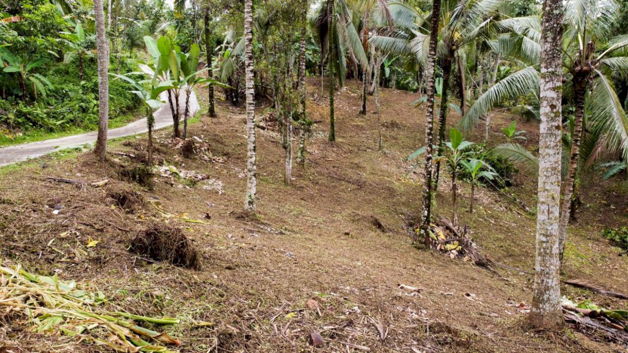 Dijual tanah murah tabanan isi sungai dan ada air terjun kecil