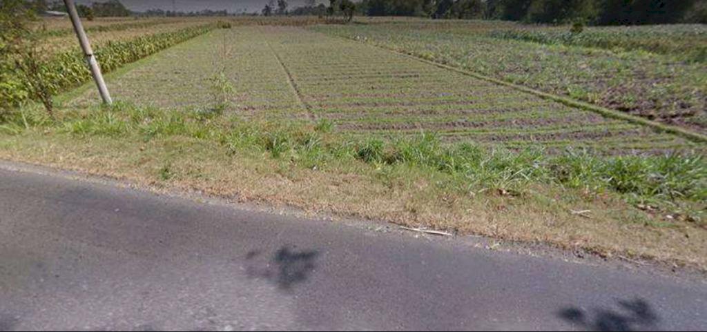 Tanah Sawah Sangat Strategis