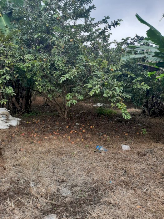 DIJUAL TANAH DI PINGGIR JALAN DI SAWANGAN KOTA DEPOK