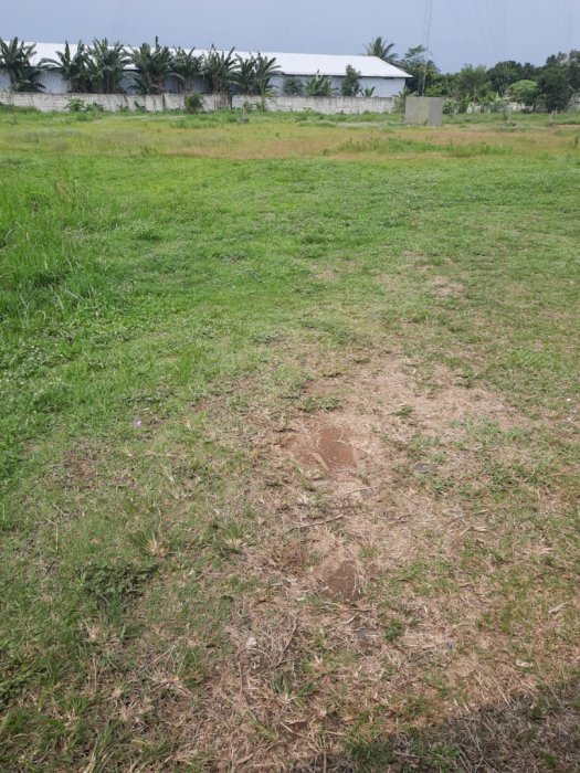 DIJUAL TANAH DI PINGGIR JALAN DI CISAUK TANGERANG