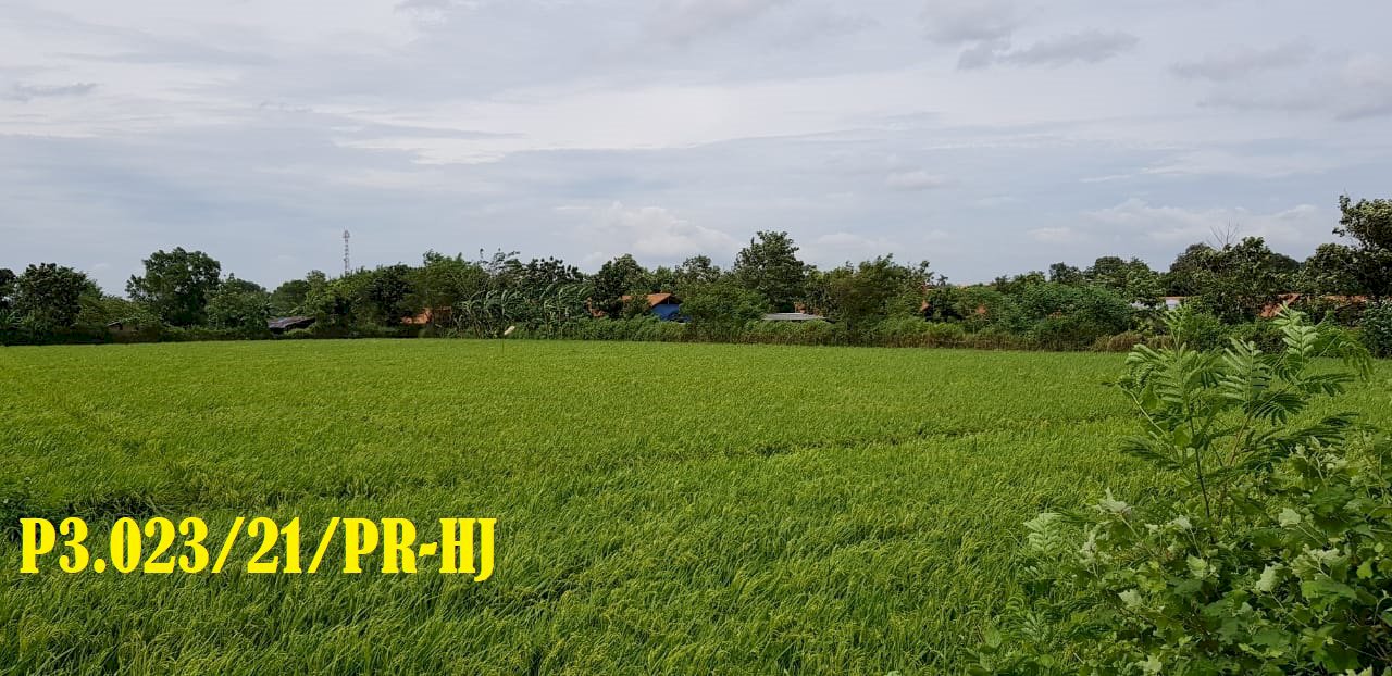 Kavling di Lemah Mulia Karawang P3.023/21/PR-HJ