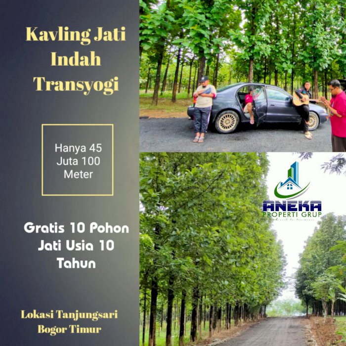 TANAH KAVLING MURAH DITANJUNGSARI BOGOR  BONUS POHON JATI EMAS