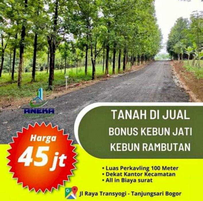TANAH KAVLING SERBAGUNA PINGGIR JALAN BOGOR BONUS POHON JATI EMAS
