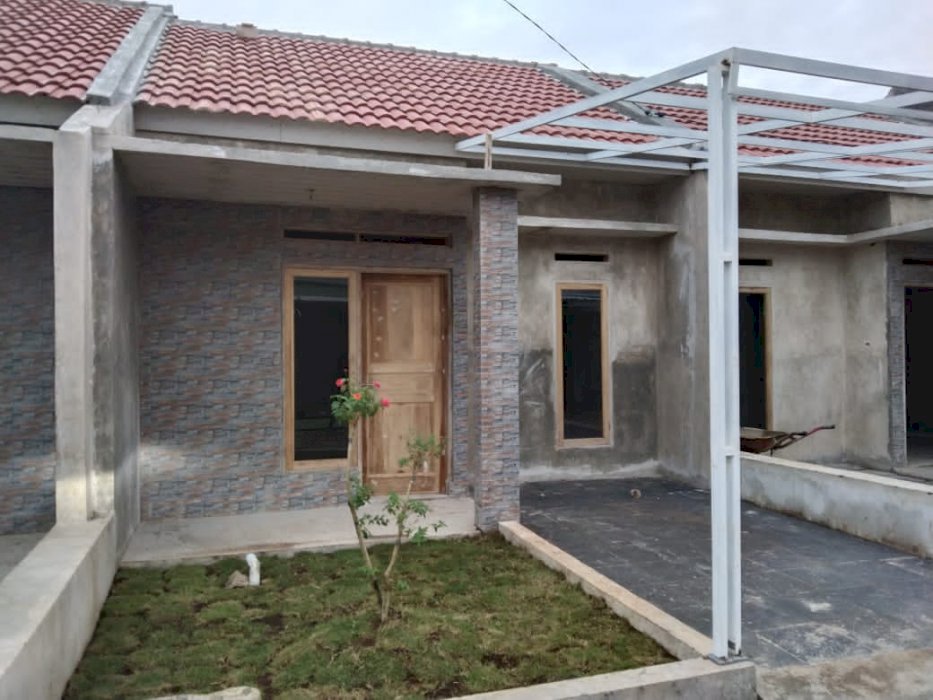 CLUSTER LAVENDER RANCAMULYA