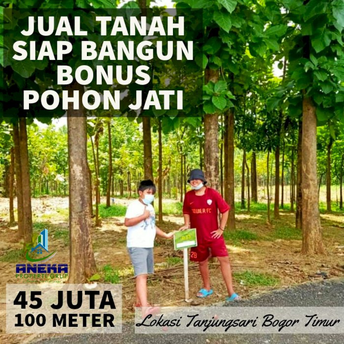 TANAH MURAH PINGGIR JALAN PROVINSI DEKAT RENCANA JALAN TOL