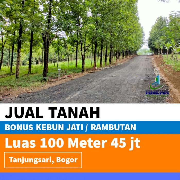 KAVLING JATI TRANSYOGI NEMPEL JALAN PROVINSI DEKAT RENCANA JALAN TOL