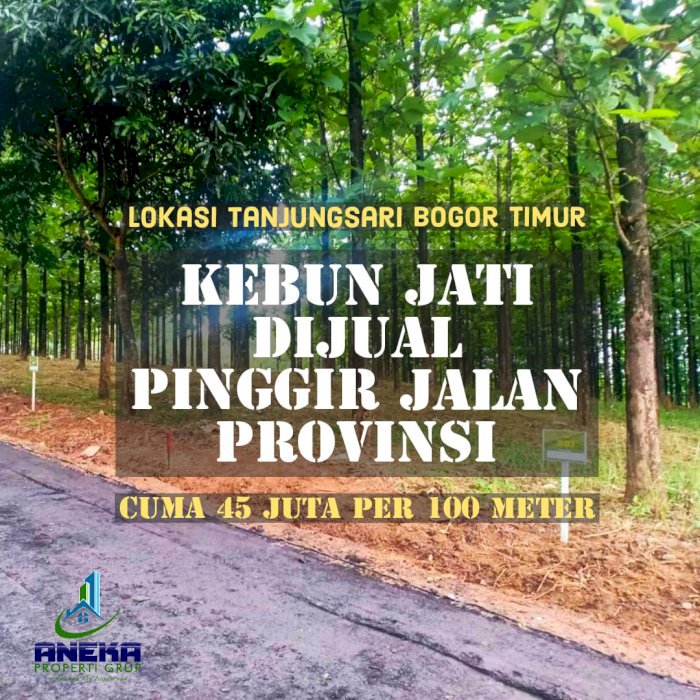 TANAH MURAH BOGOR BISA DIBANGUN BONUS POHON JATI PINGGIR JLAN PROVINSI