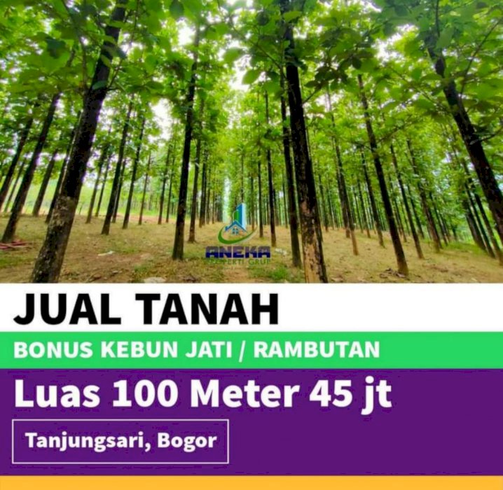 TANAH MURAH KAVLING JATI TRANSYOGI SIAP BANGUN BONUS POHON JATI EMAS
