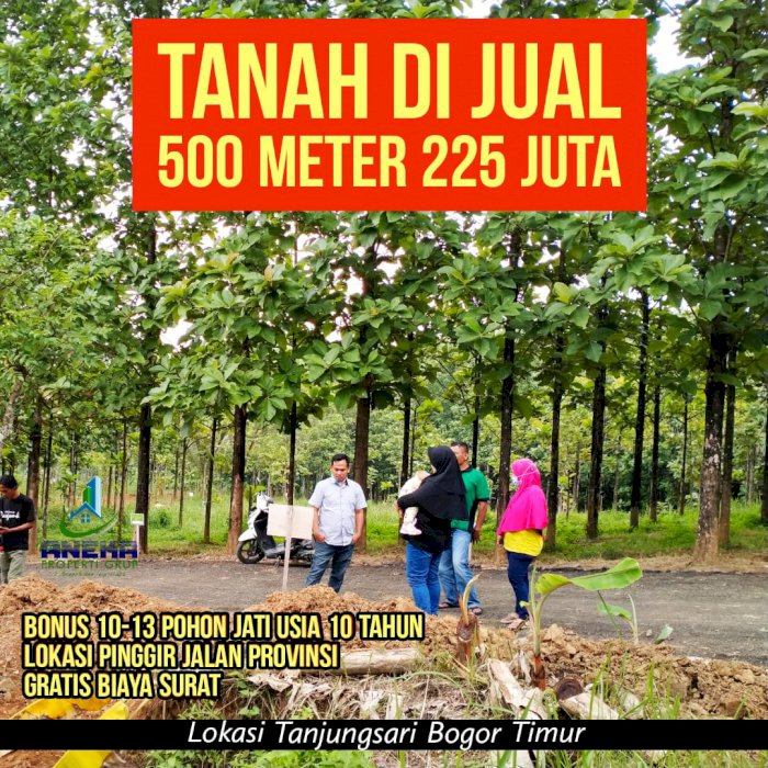 JUAL TANAH MURAH PINGGIR JALAN RAYA