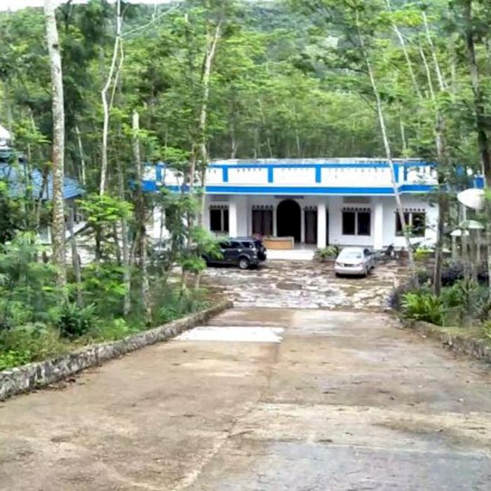 Lahan Produktif Kebun Sengon Harga Murah di Citeureup