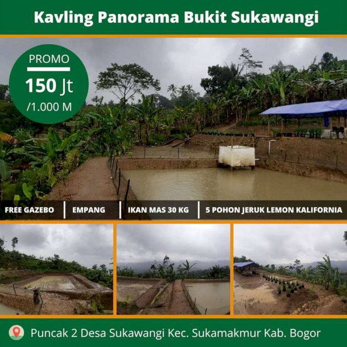 TANAH MURAH 1000M HANYA 150 JUTA BONUS EMPANG,IKAN 30KG DI BOGOR TIMUR