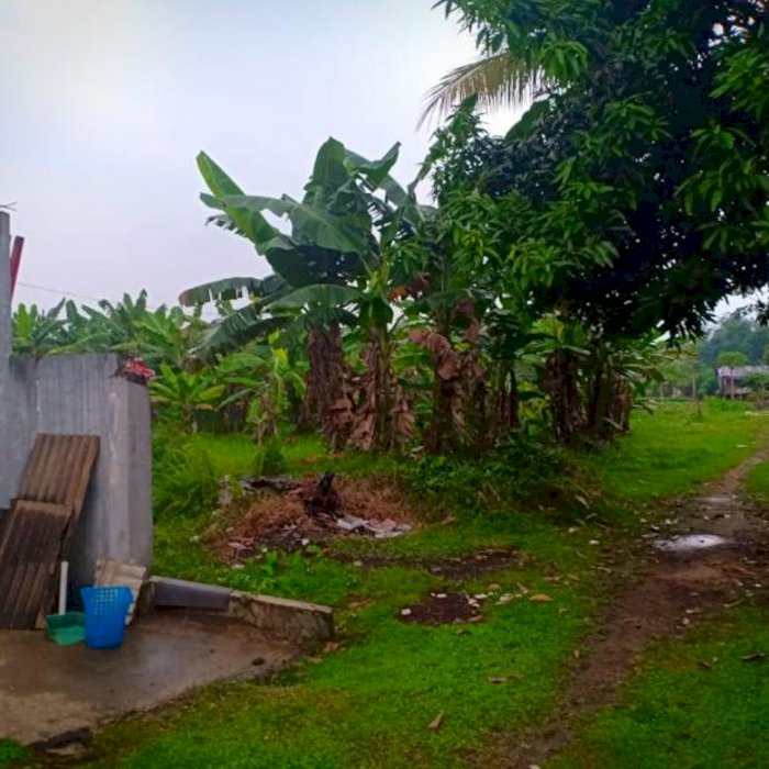 Jual Tanah di Tanah Baru Depok Harga Dibawah Pasaran