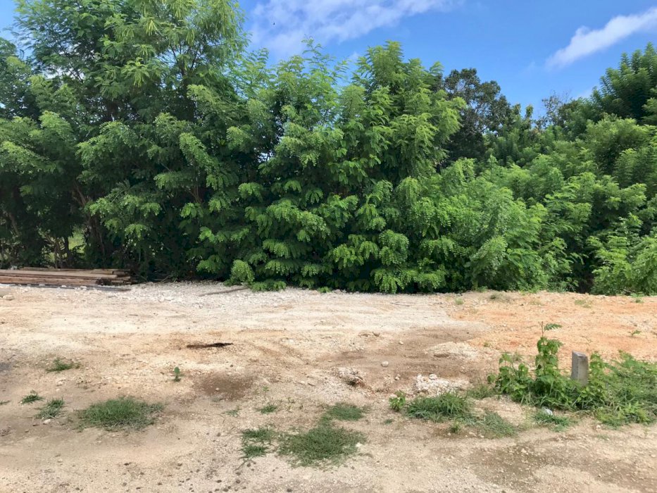 Tanah kavling harga miring area dharmawangsa Unggasan