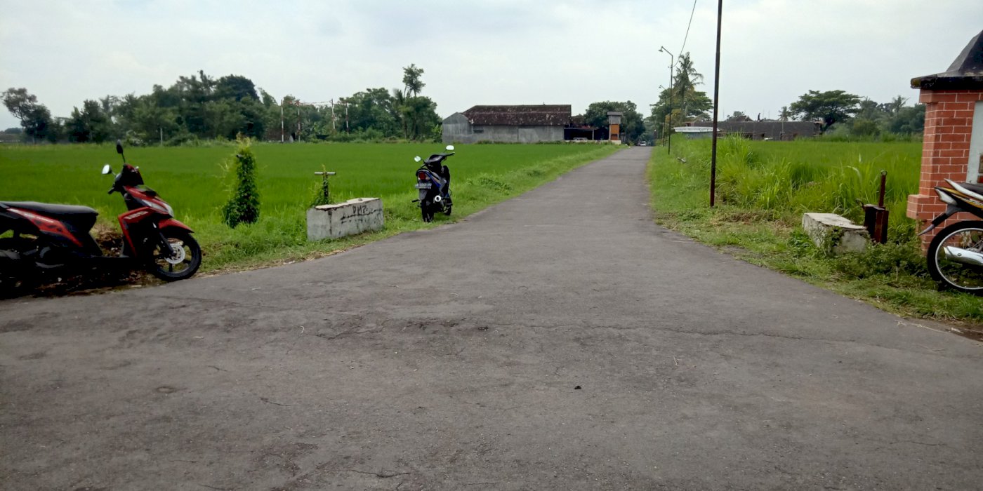 Tanah Sawah Bagus Buat Tinggal & Investndi Kalasan Sleman