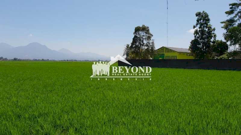 PILIHAN ASET TERBAIK MILIKI TANAH LUAS DI MAYANG SAPAN ,GEDEBAGE-BANDUNG