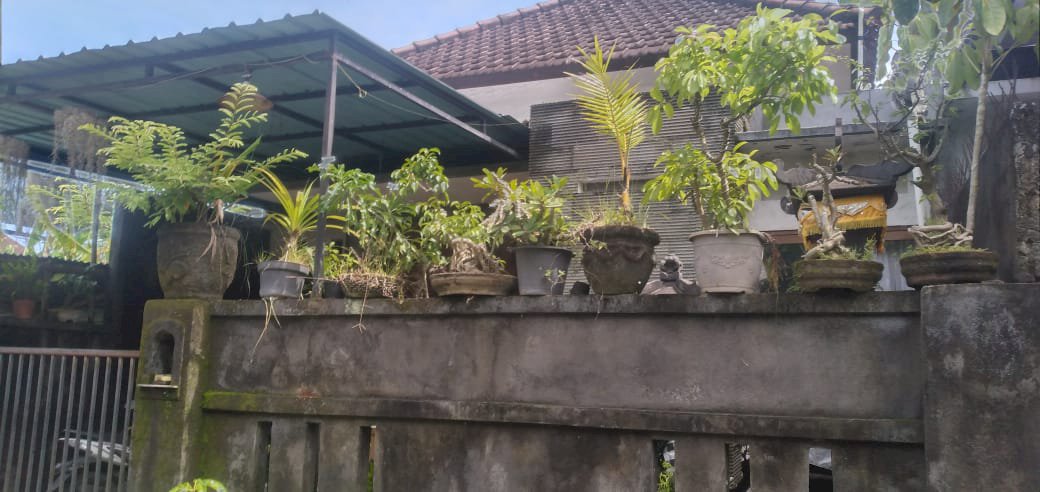 Dijual Rumah murah luas 1 are di lukluk badung bali