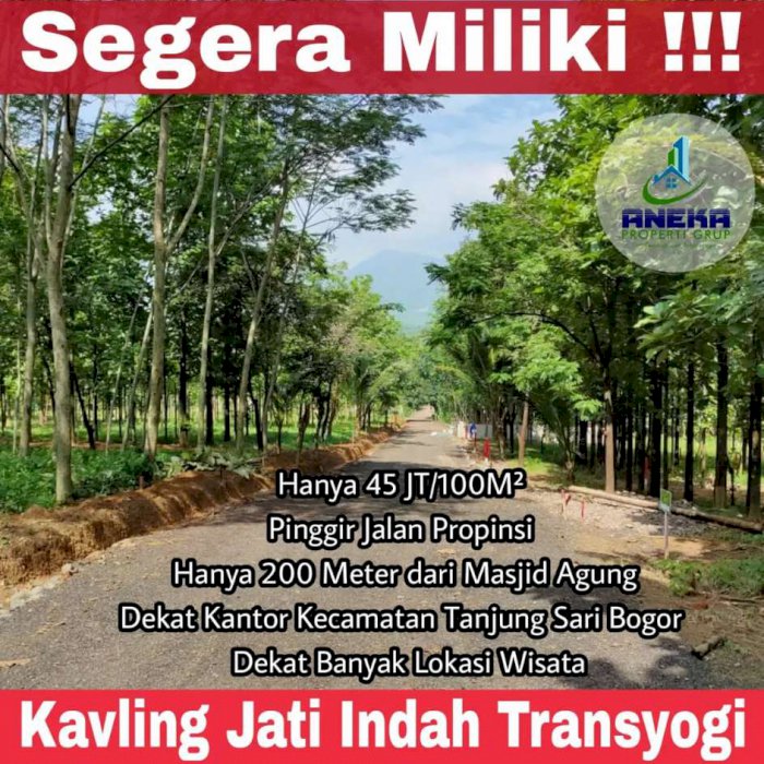 Tanah Pinggir Jalan Aspal Dijual Cepat Bonus Pohon Jati Emas Surat SHM