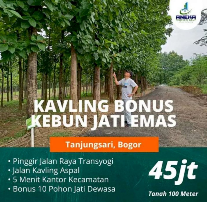 Tanah Kavling Bogor Murah SHM 500 mÂ² 231 Juta Pinggir Jalan Provinsi