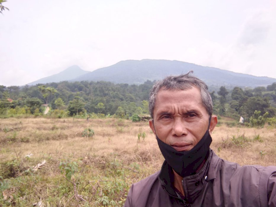 Dijual Tanah Luas Cocok Untuk Bertani