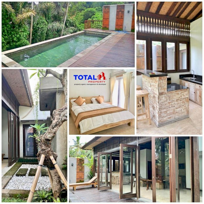Villa exotic view tebing lembah hijau asri dan sungai di river side