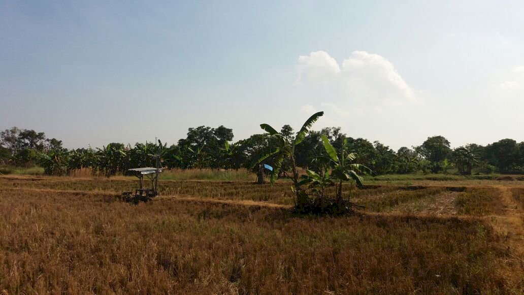 Tanah murah Gresik untuk sedekah