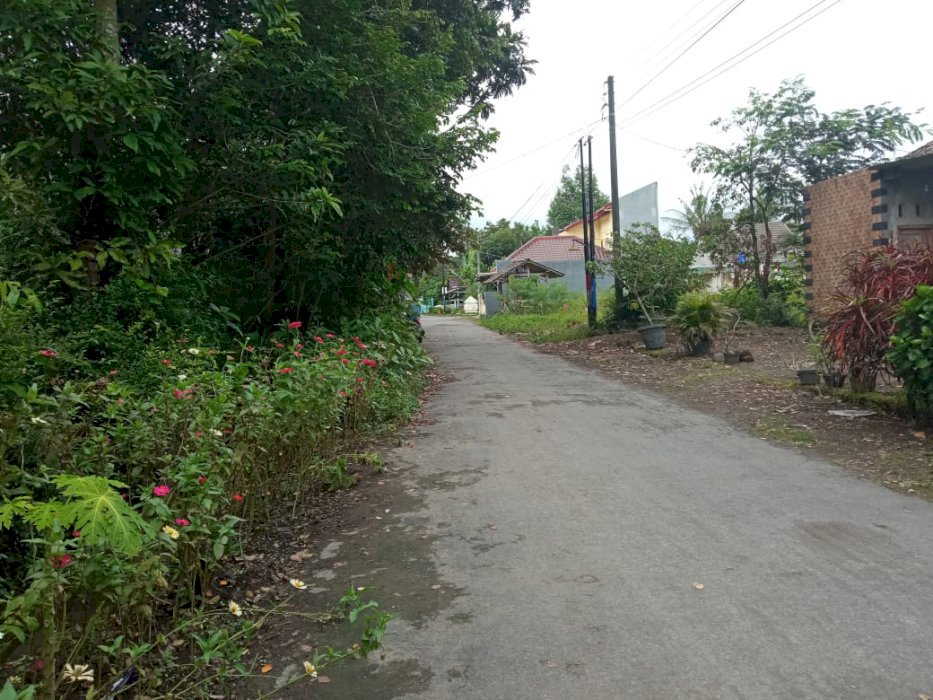 Tanah Bagus Buat Kavlingan Dkt Kantor LPMP Kalasan Sleman