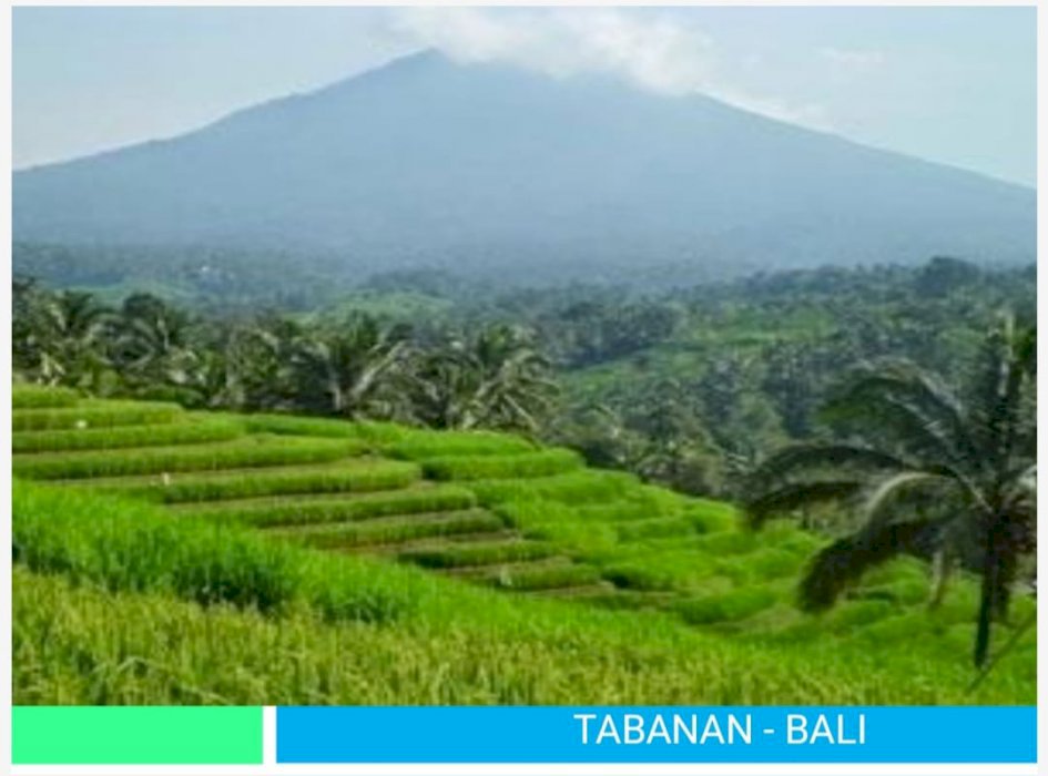 DijualMurah Kavling Villa diPenebel,wisata Jatiluwih,Tabanan.DP KPT30%