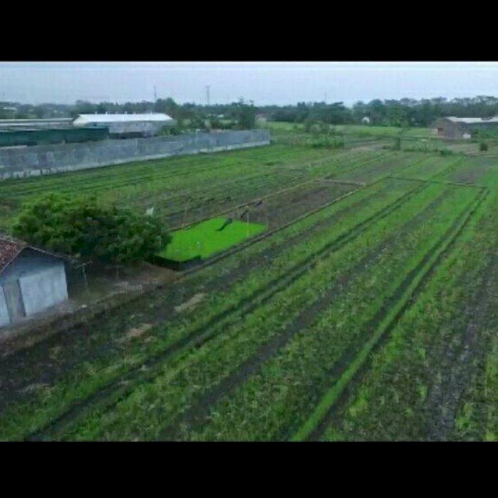 LAHAN COCOK UNTUK CLUSTER ATAU KOMERSIAL @KASONGAN BANTUL
