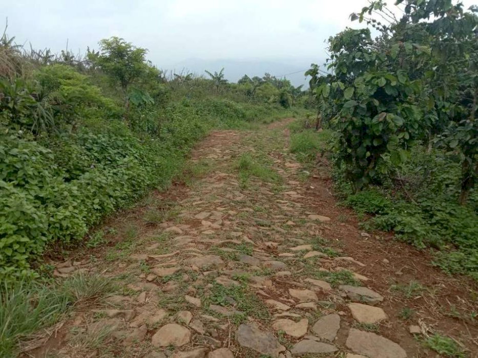 TANAH MURAH AKSES MOBIL HARGA 195RB/M VIEW PEGUNUNGAN DI BOGOR