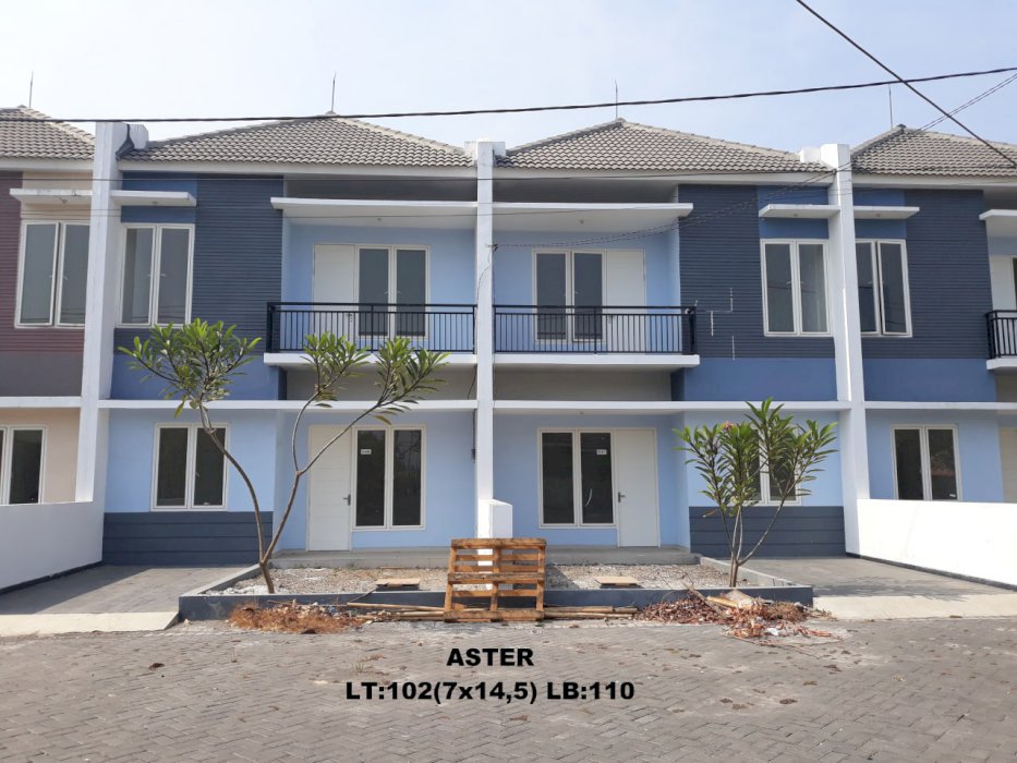 GREEN MANSION NGINGAS