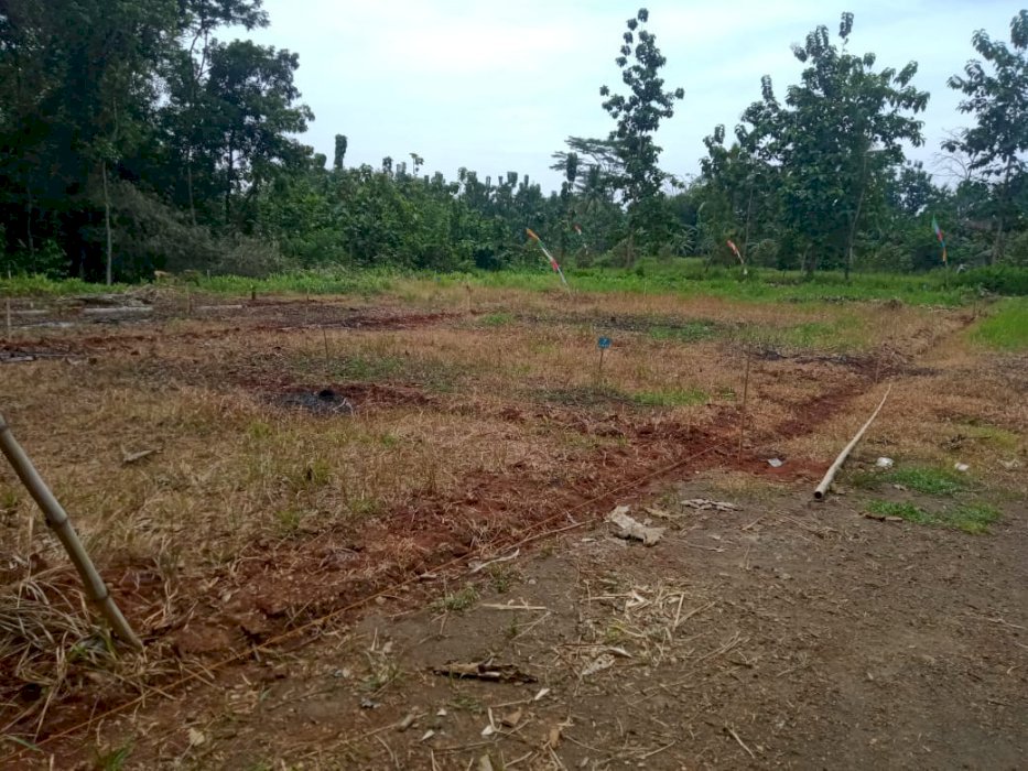 Kavling Murah pinggir jalan