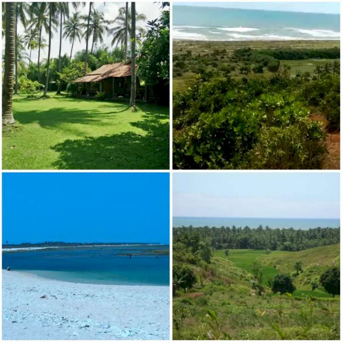 DIJUAL LAHAN 1000 HEKTAR CIANJUR