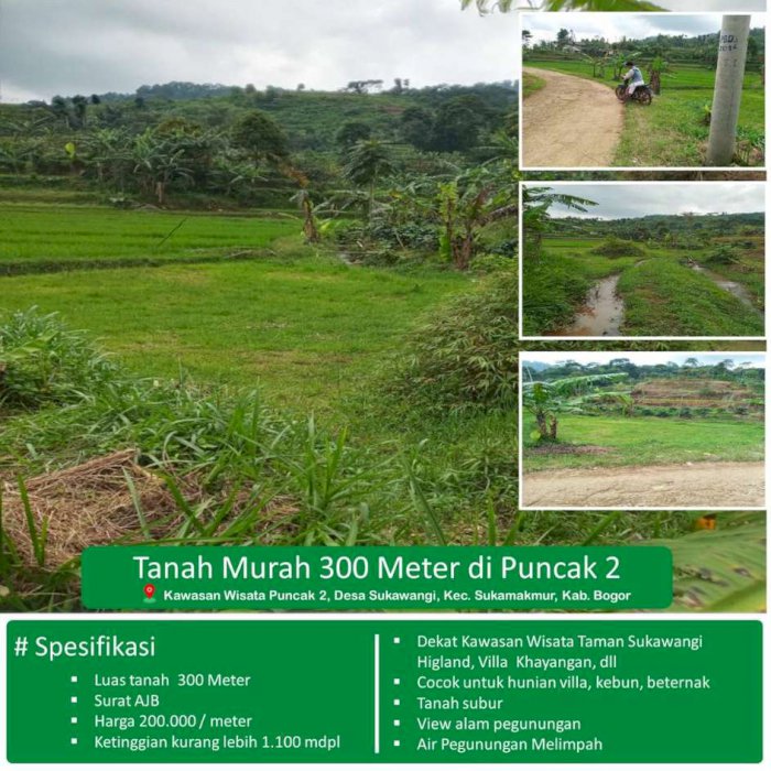 TANAH MURAH 300M HANYA 60 JUTA DI PUNCAK 2 BOGOR TIMUR
