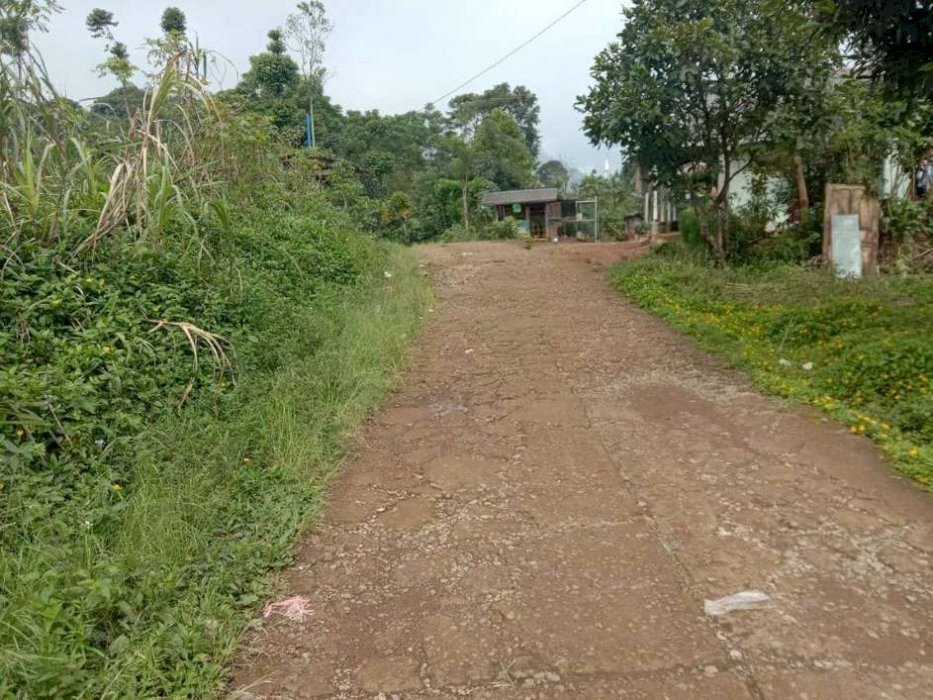 TANAH MURAH 4000M DI PEGUNUNGAN PUNCAK 2 SUKAMAKMUR BOGOR TIMUR
