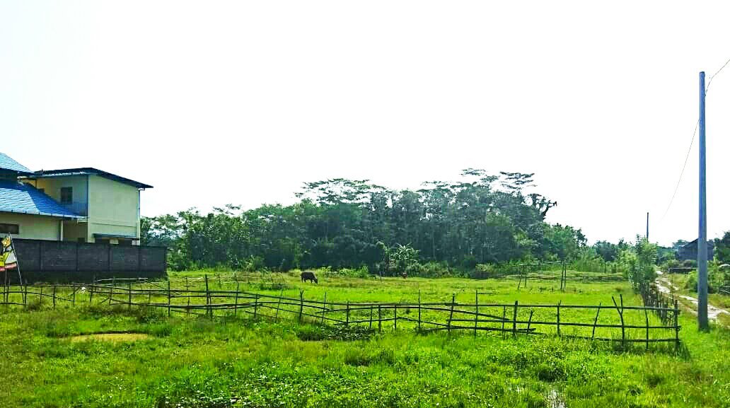 Tanah Kavling 110 juta per are lokasi strategis di tengah kota Negara, Bali