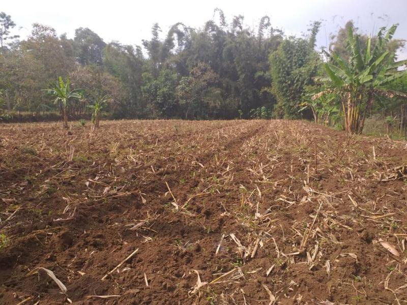 Tanah Dijual di Jalan Candi Rawan, Singosari, Malang