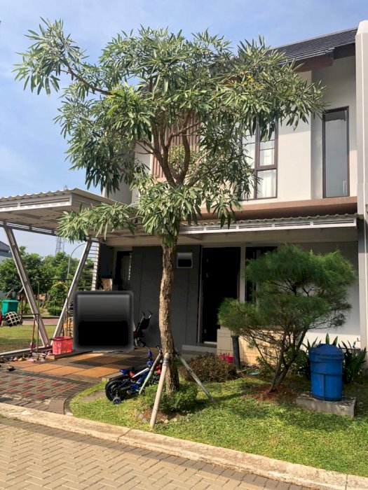 Dijual Cepat Rumah di Cluster Amarine The Mozia BSD City Tangerang