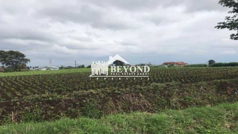 DAPAT UNTUNG MELEJIT PUNYA LAHAN TERBAIK DI SETIABUDI REGENCY,BANDUNG