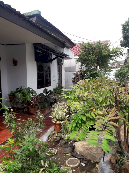 Rumah asri bebas banjir di pondok bambu duren sawit Jakarta timur